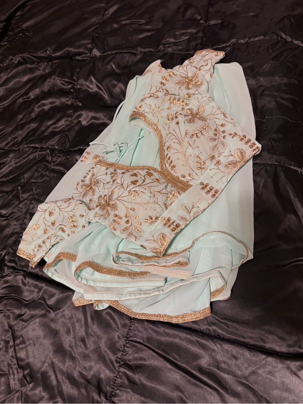 Mint Green Embroidered Two-Piece saree with Gold Accents